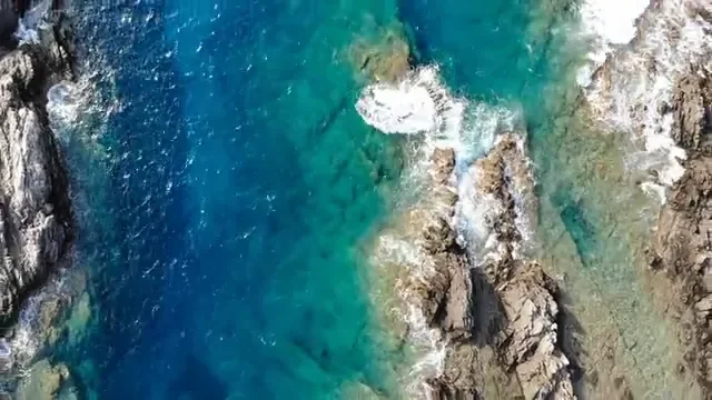 Gallery video